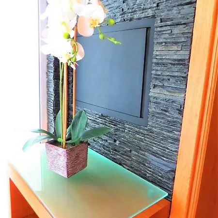 בית אירוח Anjos'home *