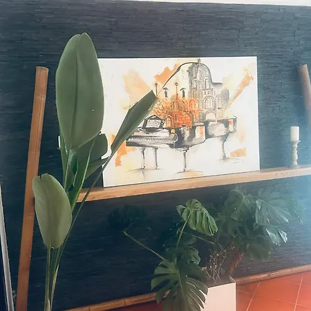 منزل للإقامة Anjos'home فيانا دو كاستيلو